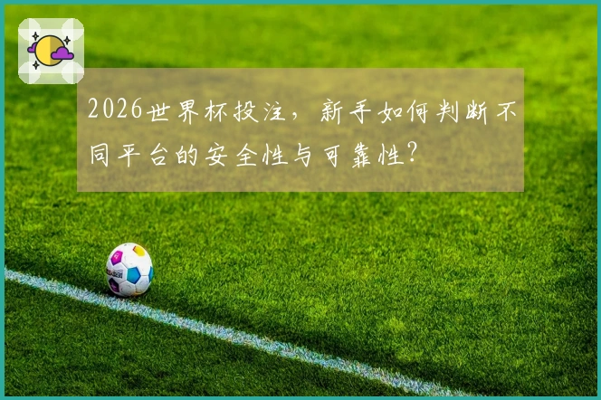 2026世界杯投注，新手如何判断不同平台的安全性与可靠性？