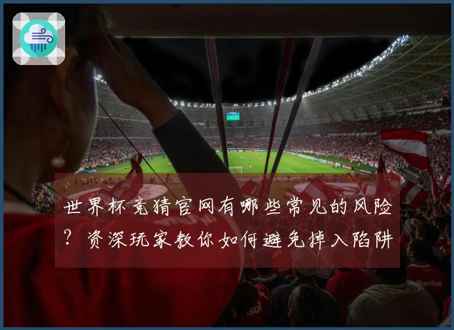 世界杯竞猜官网有哪些常见的风险？资深玩家教你如何避免掉入陷阱