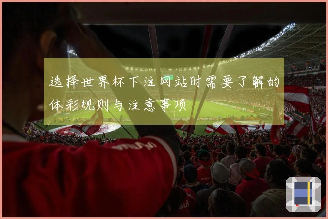 选择世界杯下注网站时需要了解的体彩规则与注意事项