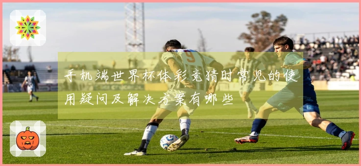 手机端世界杯体彩竞猜时常见的使用疑问及解决方案有哪些