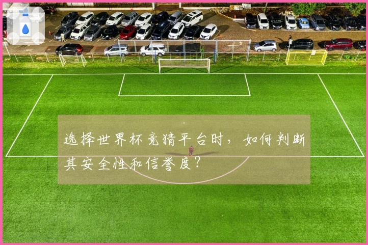 选择世界杯竞猜平台时，如何判断其安全性和信誉度？
