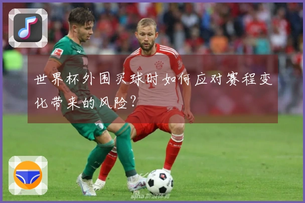 世界杯外围买球时如何应对赛程变化带来的风险？
