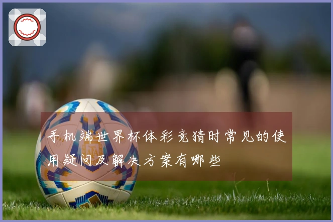 手机端世界杯体彩竞猜时常见的使用疑问及解决方案有哪些